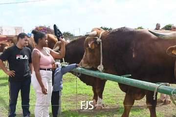 El Valle de los Nueve Alto celebra el día grande de sus fiestas patronales/Francisco Javier Santana.